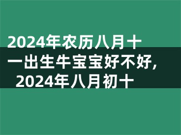 2024年农历八月十一出生牛宝宝好不好,2024年八月初十