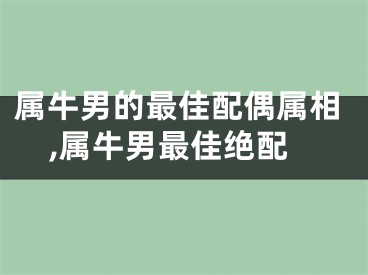 属牛男的最佳配偶属相,属牛男最佳绝配