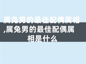 属兔男的最佳配偶属相,属兔男的最佳配偶属相是什么