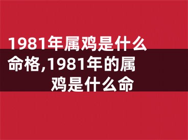 1981年属鸡是什么命格,1981年的属鸡是什么命