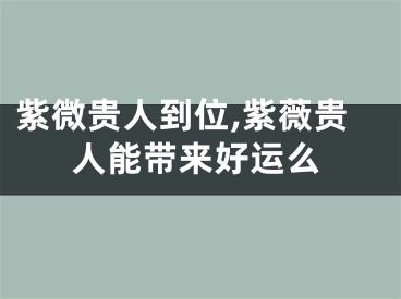 紫微贵人到位,紫薇贵人能带来好运么