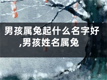 男孩属兔起什么名字好,男孩姓名属兔