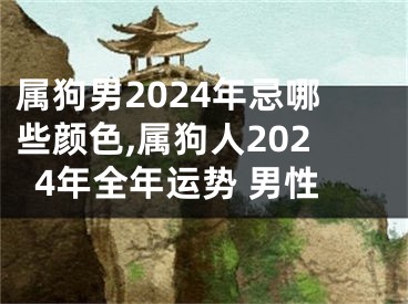 属狗男2024年忌哪些颜色,属狗人2024年全年运势 男性