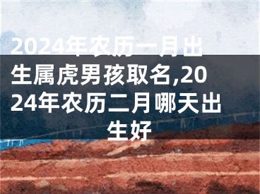 2024年农历一月出生属虎男孩取名,2024年农历二月哪天出生好