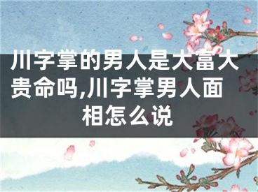 川字掌的男人是大富大贵命吗,川字掌男人面相怎么说