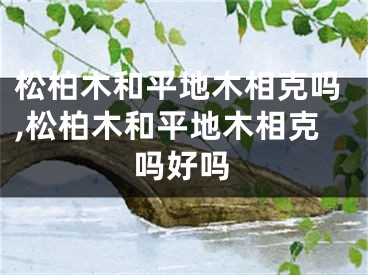 松柏木和平地木相克吗,松柏木和平地木相克吗好吗