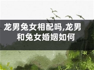 龙男兔女相配吗,龙男和兔女婚姻如何