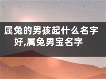 属兔的男孩起什么名字好,属兔男宝名字