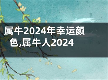 属牛2024年幸运颜色,属牛人2024