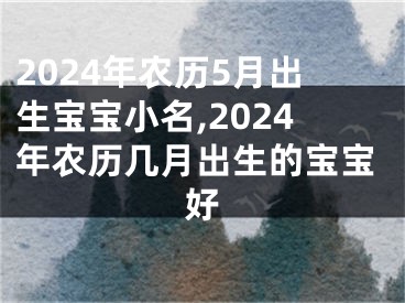 2024年农历5月出生宝宝小名,2024年农历几月出生的宝宝好