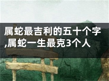 属蛇最吉利的五十个字,属蛇一生最克3个人