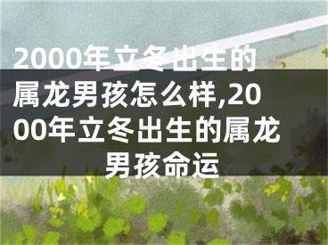 2000年立冬出生的属龙男孩怎么样,2000年立冬出生的属龙男孩命运