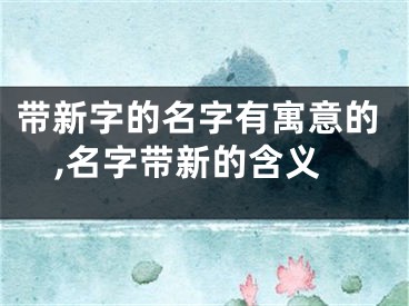 带新字的名字有寓意的,名字带新的含义
