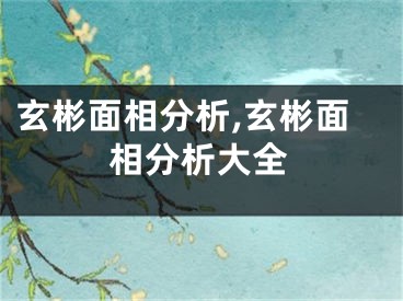 玄彬面相分析,玄彬面相分析大全