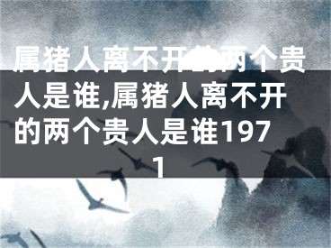 属猪人离不开的两个贵人是谁,属猪人离不开的两个贵人是谁1971