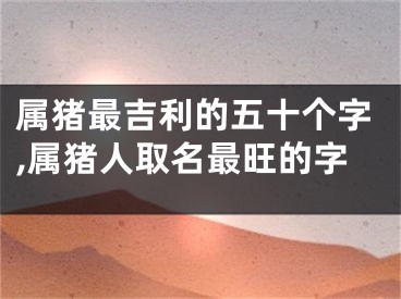 属猪最吉利的五十个字,属猪人取名最旺的字