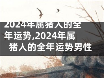 2024年属猪人的全年运势,2024年属猪人的全年运势男性