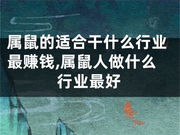 属鼠的适合干什么行业最赚钱,属鼠人做什么行业最好