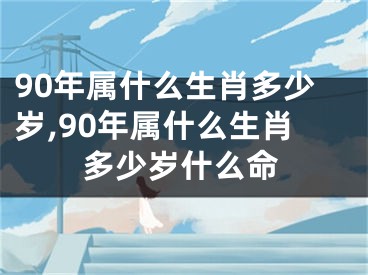 90年属什么生肖多少岁,90年属什么生肖多少岁什么命