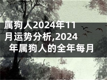 属狗人2024年11月运势分析,2024年属狗人的全年每月