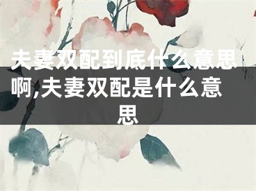 夫妻双配到底什么意思啊,夫妻双配是什么意思