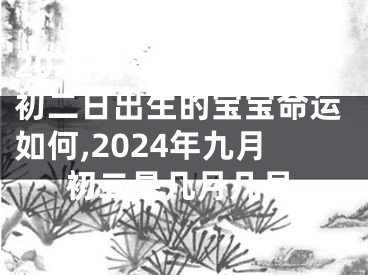 2024兔年农历九月初二日出生的宝宝命运如何,2024年九月初二是几月几号