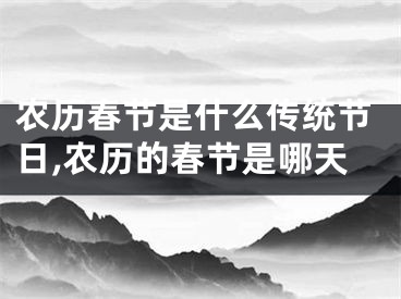 农历春节是什么传统节日,农历的春节是哪天