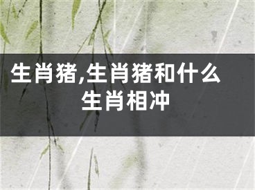 生肖猪,生肖猪和什么生肖相冲