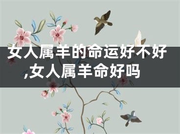 女人属羊的命运好不好,女人属羊命好吗