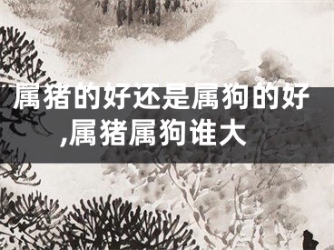 属猪的好还是属狗的好,属猪属狗谁大