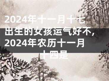 2024年十一月十七出生的女孩运气好不,2024年农历十一月十四是
