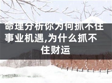 命理分析你为何抓不住事业机遇,为什么抓不住财运