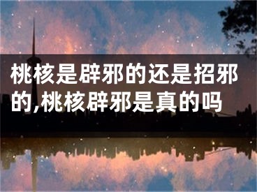 桃核是辟邪的还是招邪的,桃核辟邪是真的吗