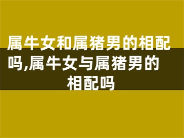 属牛女和属猪男的相配吗,属牛女与属猪男的相配吗