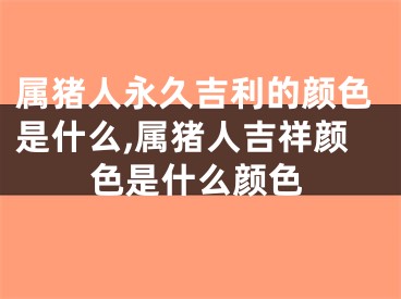 属猪人永久吉利的颜色是什么,属猪人吉祥颜色是什么颜色