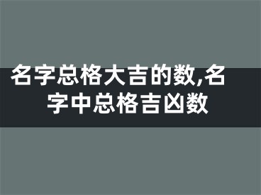 名字总格大吉的数,名字中总格吉凶数
