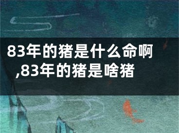 83年的猪是什么命啊,83年的猪是啥猪