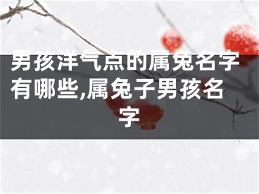 男孩洋气点的属兔名字有哪些,属兔子男孩名字