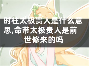 时柱太极贵人是什么意思,命带太极贵人是前世修来的吗