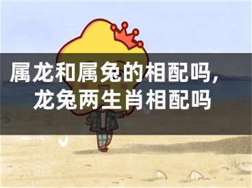 属龙和属兔的相配吗,龙兔两生肖相配吗
