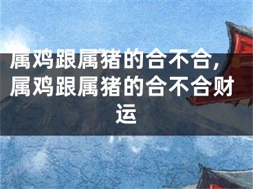 属鸡跟属猪的合不合,属鸡跟属猪的合不合财运