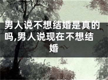 男人说不想结婚是真的吗,男人说现在不想结婚