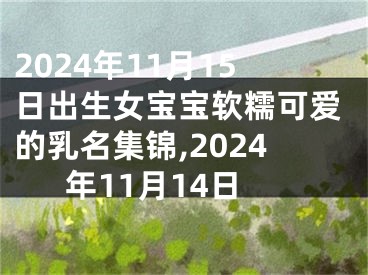 2024年11月15日出生女宝宝软糯可爱的乳名集锦,2024年11月14日