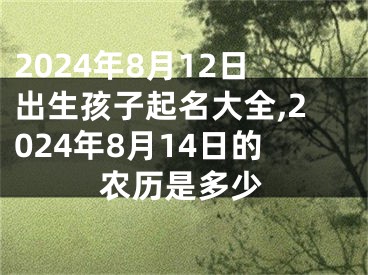 2024年8月12日出生孩子起名大全,2024年8月14日的农历是多少