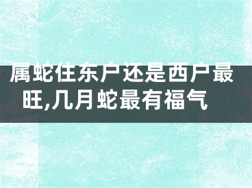 属蛇住东户还是西户最旺,几月蛇最有福气