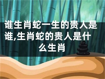 谁生肖蛇一生的贵人是谁,生肖蛇的贵人是什么生肖