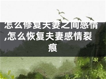 怎么修复夫妻之间感情,怎么恢复夫妻感情裂痕