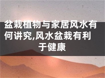 盆栽植物与家居风水有何讲究,风水盆栽有利于健康