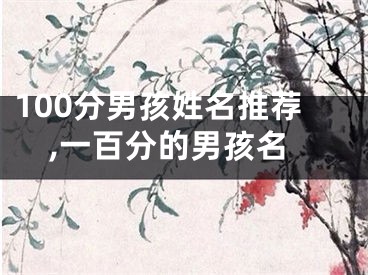 100分男孩姓名推荐,一百分的男孩名