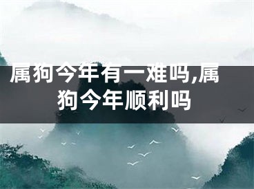 属狗今年有一难吗,属狗今年顺利吗